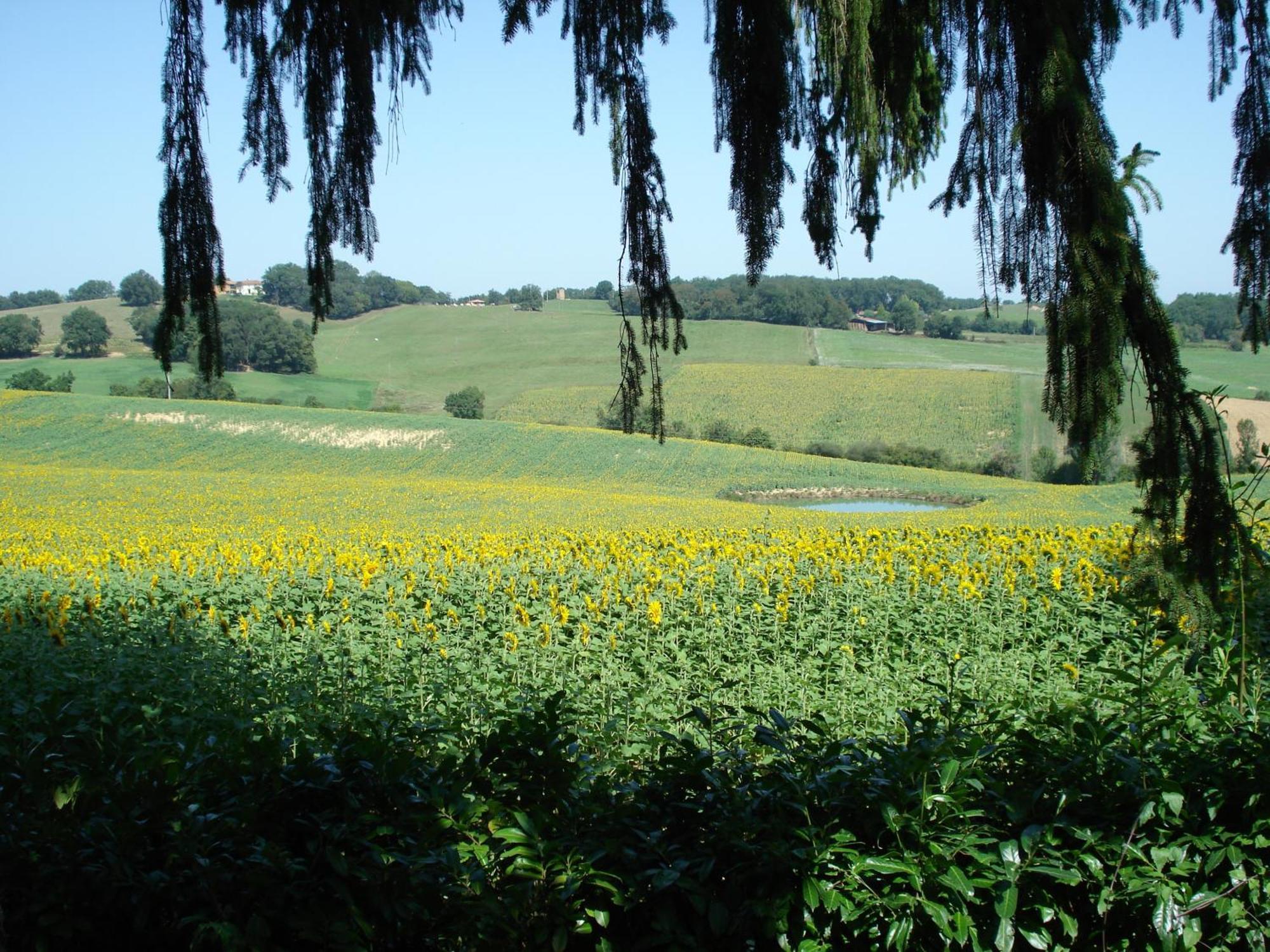 Relais Du Chateau Saint-Blancard ภายนอก รูปภาพ