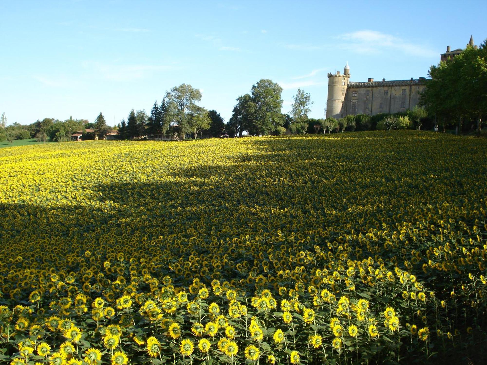 Relais Du Chateau Hotel Saint-Blancard ภายนอก รูปภาพ